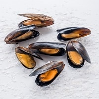 Quality Mussels